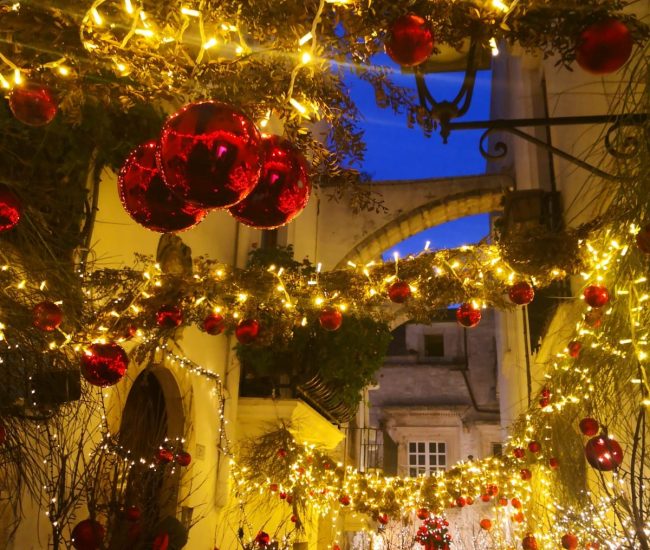 481206207_1178235077641059_3738892395036837682_n