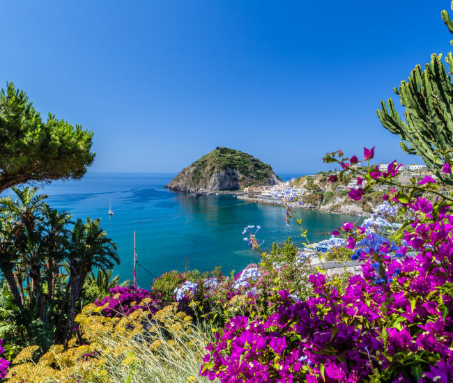 ischia ischia